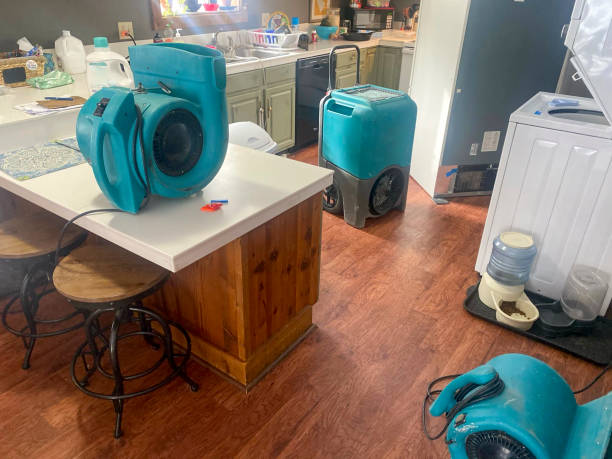 Best Local water damage restoration  in Walnut Cove, NC