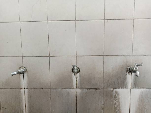 Best Flood restoration services  in Walnut Cove, NC