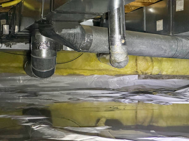 Best Carpet water damage restoration  in Walnut Cove, NC